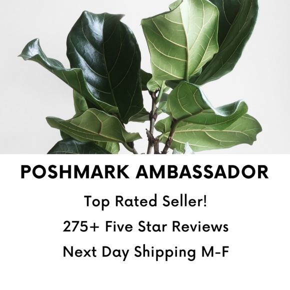 Meet your Posher, krits closet - Picture 2 of 2